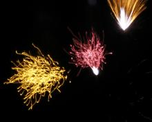 feu-artifice_jz_2013-07-138893