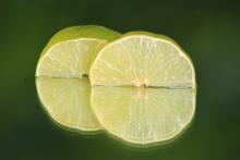 vert-citron
