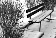 Banc de neige