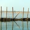 Lettres d'eau 
