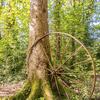 La roue tourne