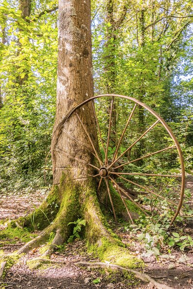 La roue tourne