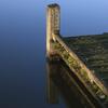 Lichen sur ponton 