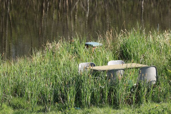 Déjeuner dans l'herbe.
