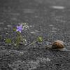 La nature finit toujours par se venger.