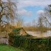 Le sanctuaire de l'eau dormante