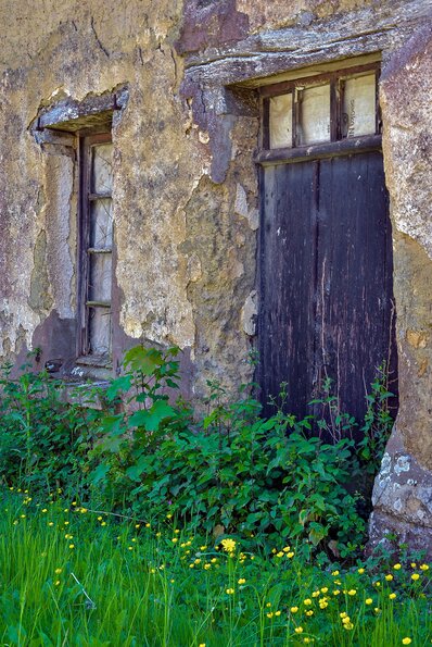 La nature frappe à la porte