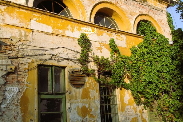 Dans les jardins du Palais de Sissi l'impératrice