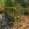 le passage aux mille automne