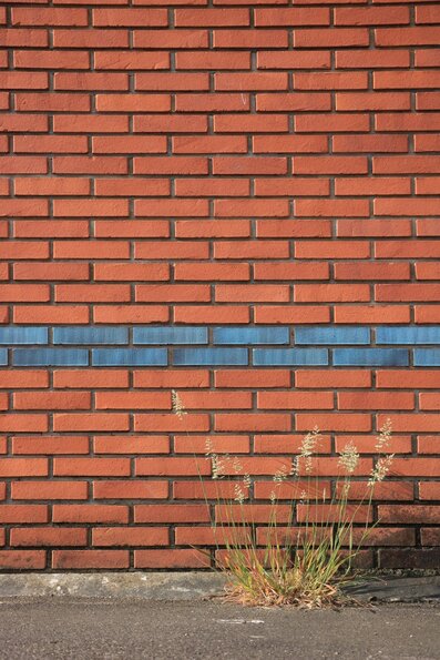 Passe muraille