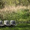 Ciné en plein air 