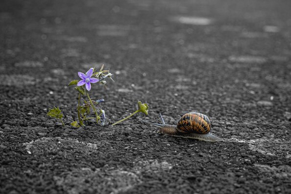 La nature finit toujours par se venger.
