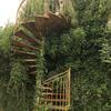 L'escalier de vert et de rouille 