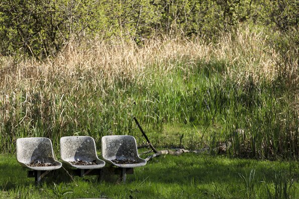 Ciné en plein air 