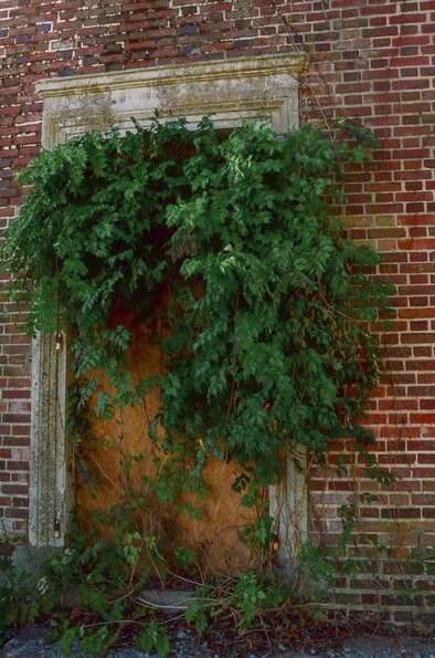 La porte de Narnia