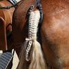 concours_nat_attelag4498