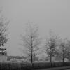 hiver guy 5