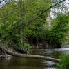 DSC_6566-r