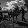 DSC_1205-r