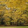 2014-11-22-Atelier-Photo-2