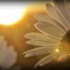 2014-05-15-Avant_le_coucher