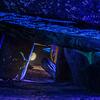 DSC_1624-1r