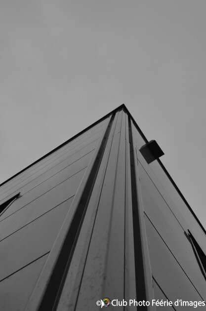 DSC_2110