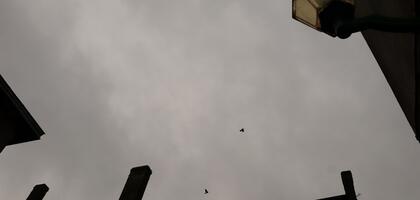 Architecture 10_04_21