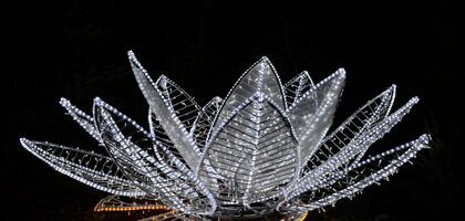 Illumination NOEL