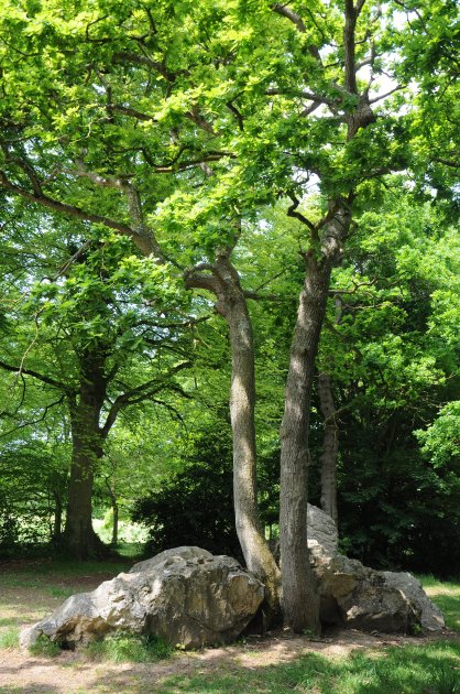 Le cimetière des druides