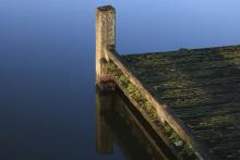 Lichen sur ponton 
