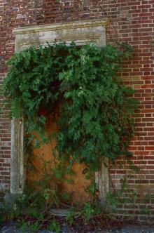 La porte de Narnia