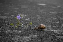 La nature finit toujours par se venger.