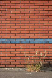 Passe muraille