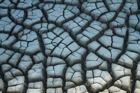 PUZZLE des MARAIS