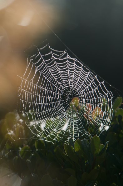 Plusieurs chemins pour ne pas se perdre