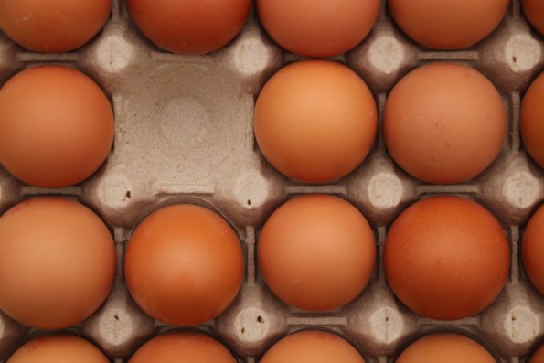 Tous dans le même panier ...ou presque