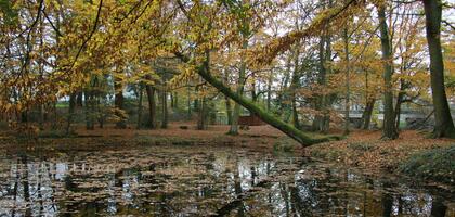 Automne